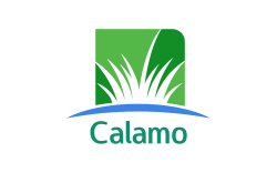 Calamo